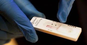 Crisanti, Zaia e caso tamponi rapidi in Veneto: cosa dicono i virologi
