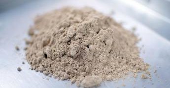 Food, sondaggio Coldiretti: ‘I grilli in tavola? Bocciati da maggioranza toscani’