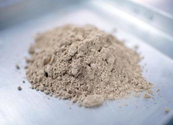 Food, sondaggio Coldiretti: ‘I grilli in tavola? Bocciati da maggioranza toscani’