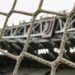 Inchiesta Juve, procura Roma acquisisce documenti su bilanci