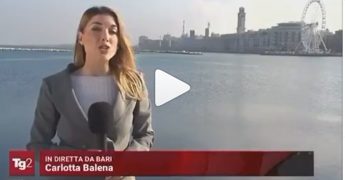 Lapsus di una giornalista diventa gogna mediatica, la deriva social