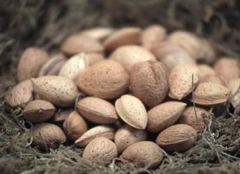 Mandorle snack ideale per chi pratica sport, lo studio