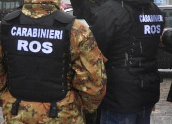 Messina Denaro, arrestato Andrea Bonafede: “Uomo d’onore del boss”