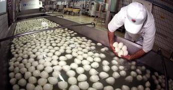 Mozzarella Bufala Campana Dop più acquistata a Nord-Ovest, all’estero in Francia