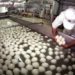 Mozzarella Bufala Campana Dop più acquistata a Nord-Ovest, all’estero in Francia