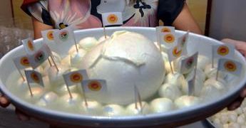 Mozzarella Bufala Campana Dop, vola export in congiuntura difficile