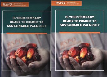 Nel 2020 usate 1,5 mln di tonnellate di olio di palma, il 95% è sostenibile