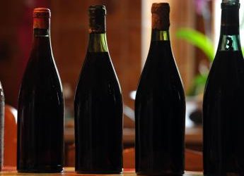 ‘Vino nuoce alla salute’, Tajani: “Irlanda disponibile a confronto su etichette”