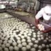 Mozzarella Bufala Campana Dop più acquistata a Nord-Ovest, all’estero in Francia