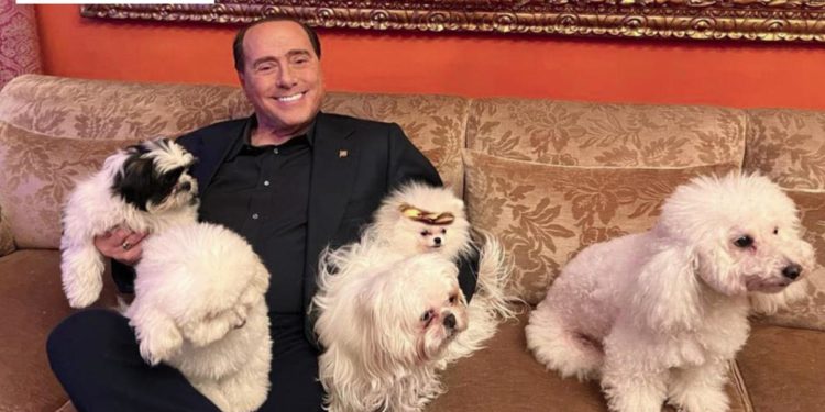 Berlusconi annuncia new entry ad Arcore: “Dopo Dudù ecco Drago e Lupo”