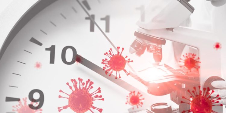 Covid, variante Kraken rischio per Italia? Cosa dicono esperti