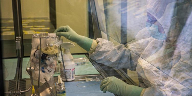 Covid Italia, Aifa: calo monoclonali in terapia ma aumento in profilassi