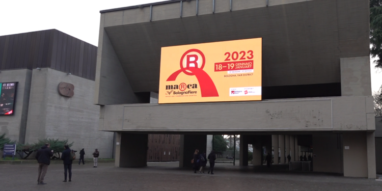 Olio di palma, controlli scrupolosi per un prodotto sicuro e certificato