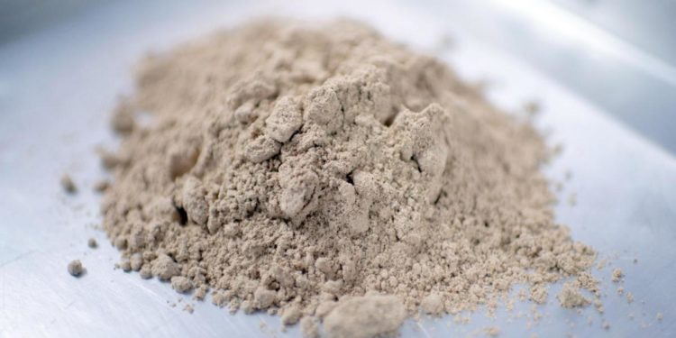 Grilli in polvere, luci e ombre