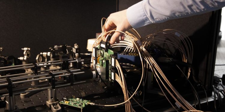 Innovazione, realizzato il cronometro che indaga l’attività delle cellule