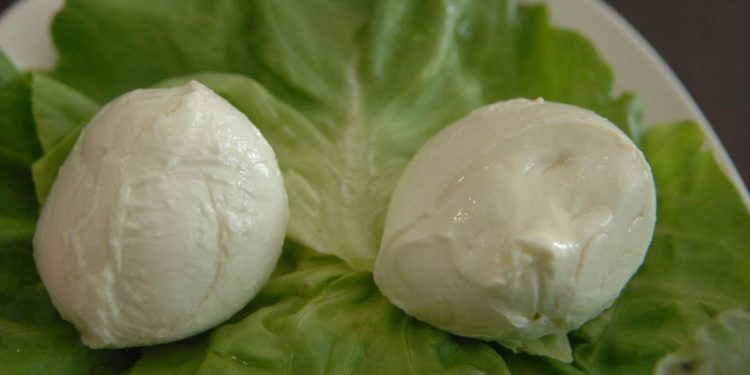Mozzarella Bufala Campana formaggio Dop che cresce di più 2016-2022, +26%