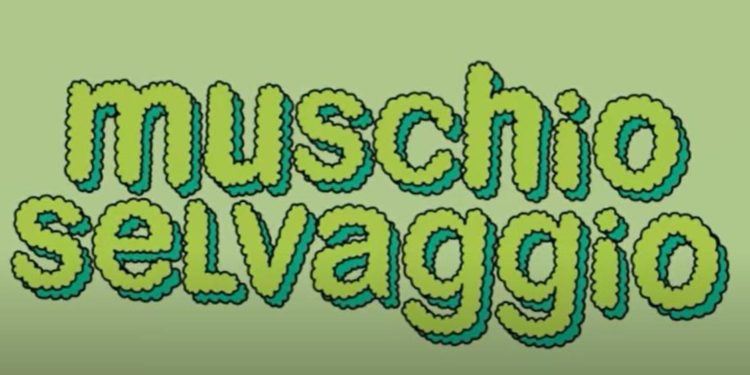 Sanremo 2023, Fedez e Luis Sal in città con ‘Muschio Selvaggio’