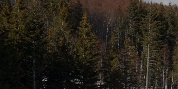 Abruzzo senza neve, crollo prenotazioni a Natale: allarme degli albergatori