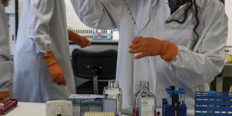 Carenza farmaci, Schillaci: “Ricorrere a preparati galenici, online mappa farmacie”