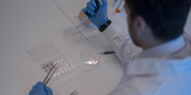 Covid, biologo cha ha battezzato ‘Kraken’: “Preoccupa ma non è l’unica”