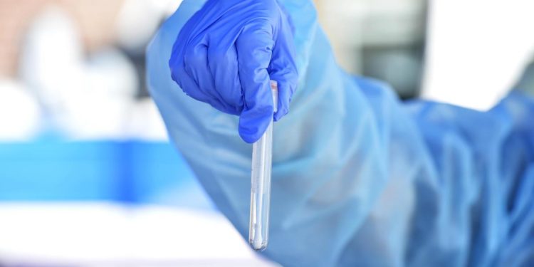 Covid, immunologo Le Foche: “Con variante Kraken sarà record di contagi”