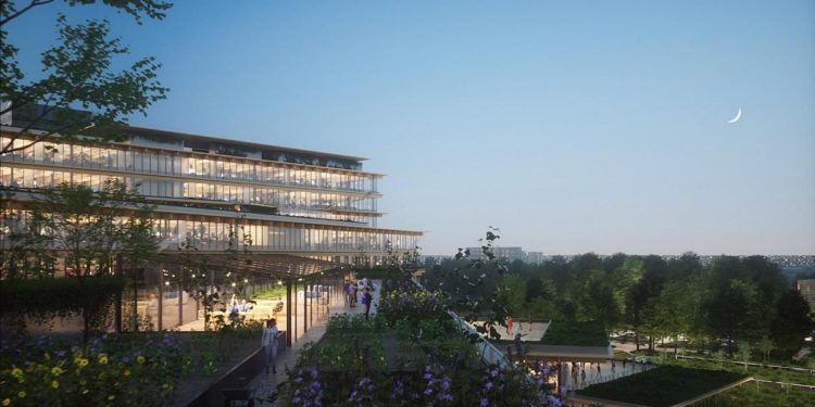 Lavoro, nasce Welcome, l’ufficio ‘biofilico’ ideato da Europa Risorse