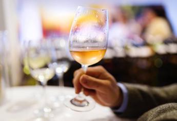 Abuso Alcol dannoso ma consumo moderato protettivo, esperti e politici a confronto