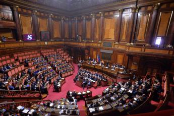 Cospito, bagarre al Senato: Pd lascia l’aula