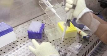 Covid, con monoclonali virus può mutare: algoritmo svela pazienti ‘resistenti’