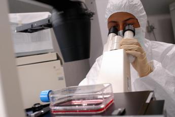 I ‘virus zombie’ sono vivi dopo quasi 50mila anni: lo studio