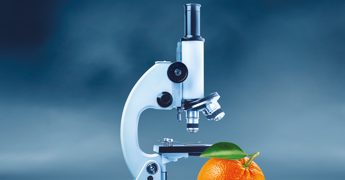 Le arance rosse della salute in 9mila supermercati per la ricerca contro i tumori