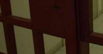 Non ricaricava il braccialetto elettronico per non farlo funzionare: arrestato