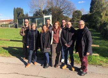 Svelato meccanismo con cui nell’evoluzione si formano nuovi geni
