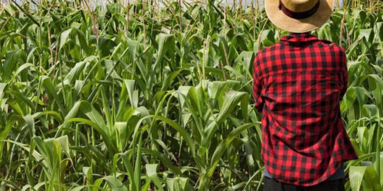 Numeri in crescita per gestione del rischio in agricoltura, Fondo AgriCAT sia grimaldello cambiamento