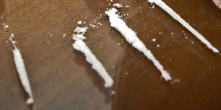 Droga, cresce traffico cocaina in Ue: almeno 10 miliardi di euro l’anno