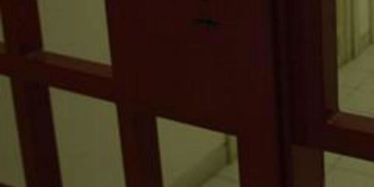 Teramo, 35 salsicce imbottite di droga nel pacco per il nipote in carcere