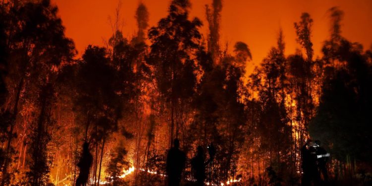 Cile, maxi incendi nei boschi: almeno 23 morti