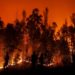 Cile, maxi incendi nei boschi: almeno 23 morti