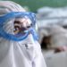 Covid oggi Veneto, 543 contagi e nessun morto: bollettino 10 febbraio