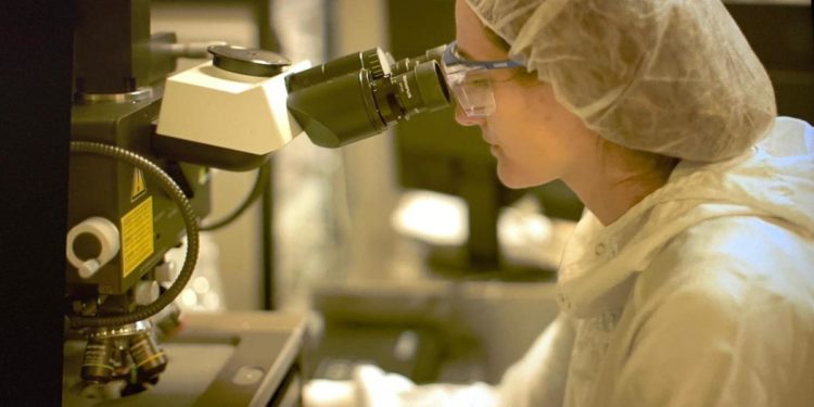 Ricerca, Iit e Fondazione Ansaldo insieme per Giornata internazionale donne e ragazze nella scienza