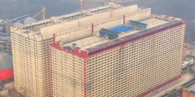 Cina, maiali allevati in grattacielo. Burioni: “Paradiso per virus” – Video