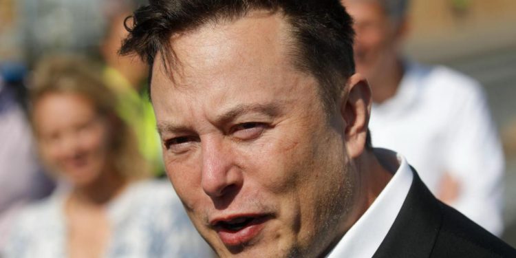 Internet, Elon Musk porta Starlink in Italia: “E’ disponibile”