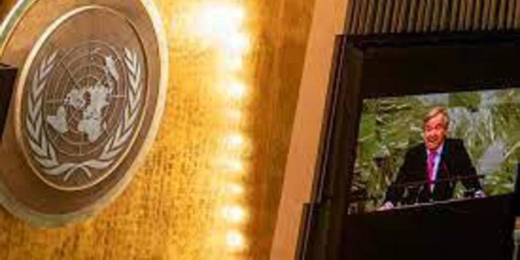 Migranti, Onu all’Italia: “Ritiri il dl sulle Ong”