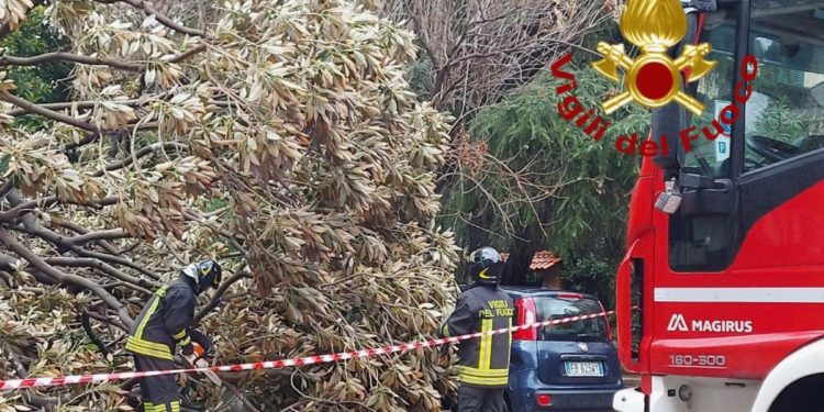 Maltempo infuria in Sicilia: danni, esondazioni e sfollati