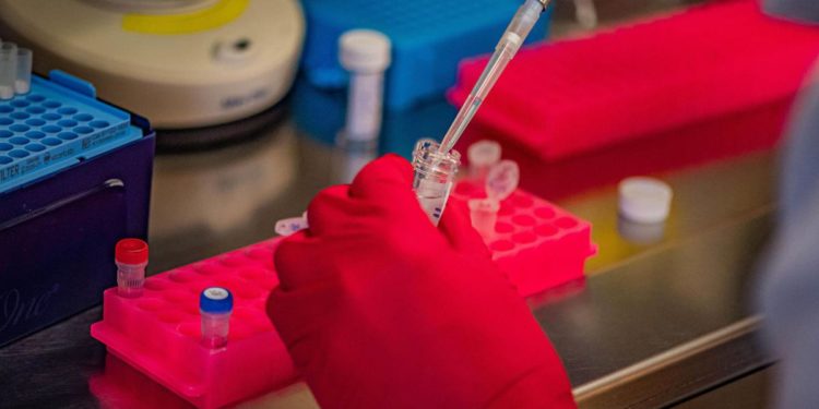 Covid oggi Lazio, 648 contagi e 5 morti: a Roma 374 casi