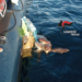 Carabinieri Favignana salvano una tartaruga Caretta