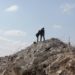 Terremoto Turchia e Siria, oltre 28mila morti