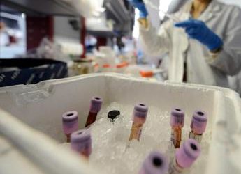 Aviaria, studio italiano su 3 casi umani: “Non sono frutto di salto di specie”