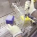 Cellule cerebrali chiave per memoria, apprendimento e movimento: la scoperta