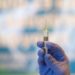 Covid e influenza, vaccinazione a singhiozzo: Regioni in ordine sparso
